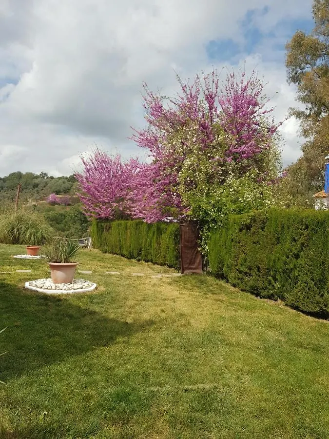 Guest house Hotel Casa Grande Constantina