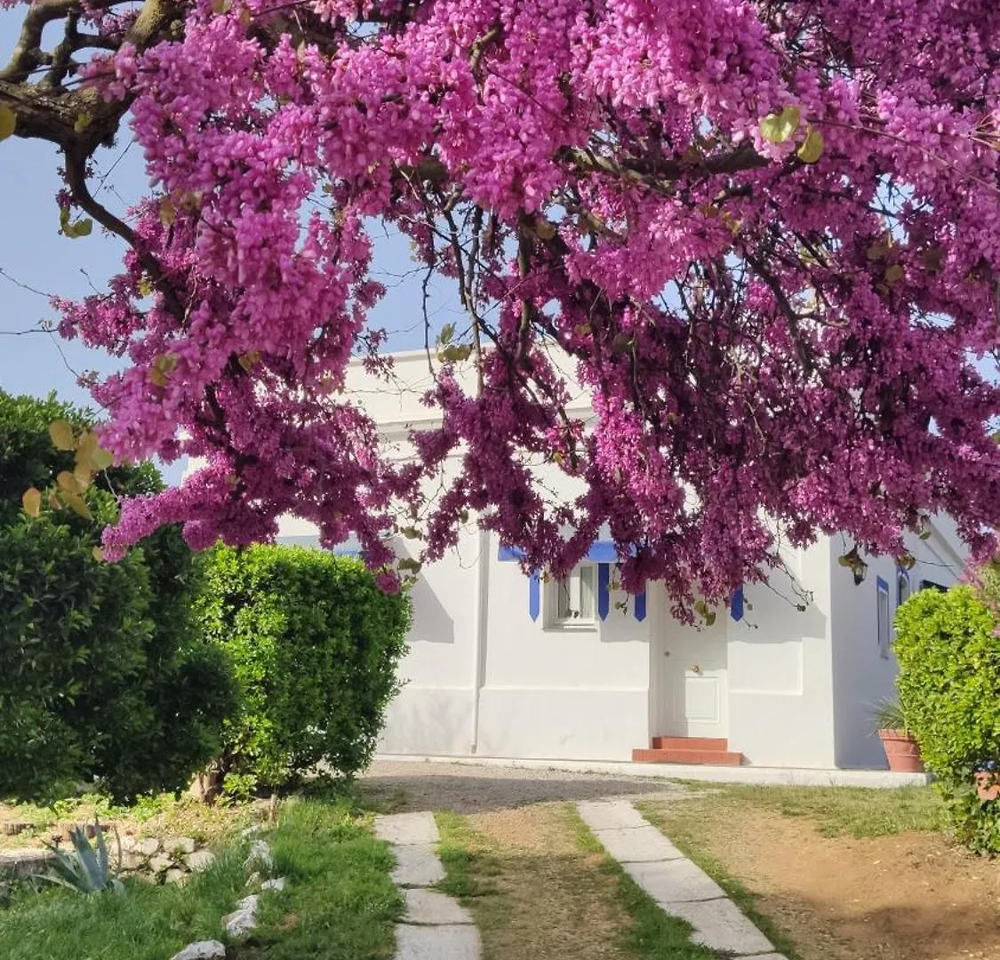 Hotel Casa Grande Constantina